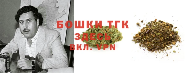 ГАЛЛЮЦИНОГЕННЫЕ ГРИБЫ Белоозёрский