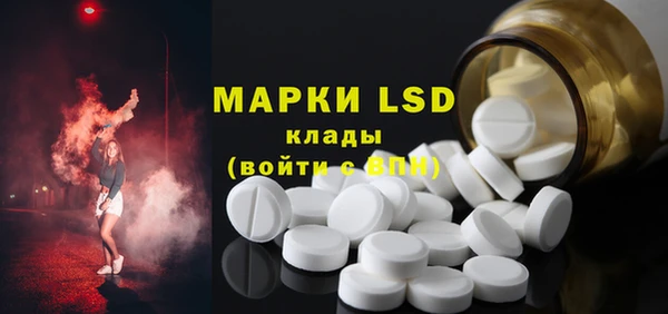 ГАЛЛЮЦИНОГЕННЫЕ ГРИБЫ Белоозёрский
