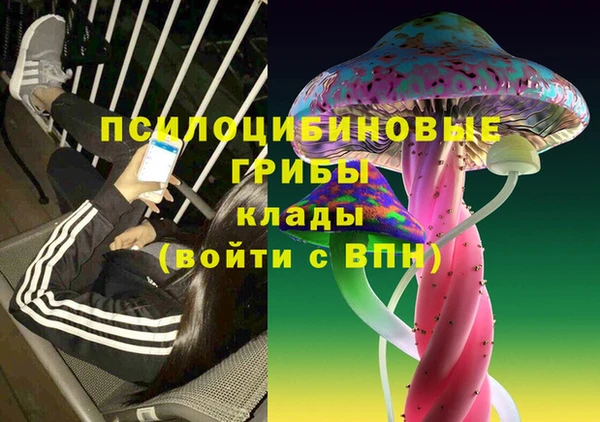 ГАЛЛЮЦИНОГЕННЫЕ ГРИБЫ Белоозёрский