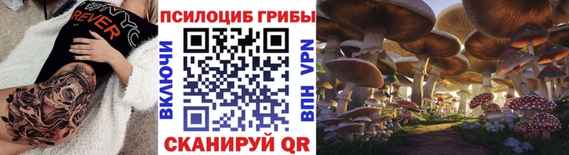 Псилоцибиновые грибы прущие грибы  МЕГА   Острогожск  наркота 