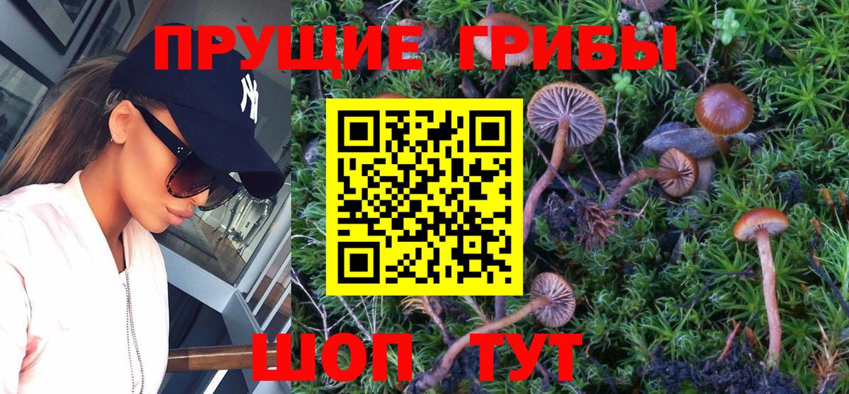 Галлюциногенные грибы мухоморы  Псилоцибиновые грибы мицелий  Вход с VPN  Острогожск 