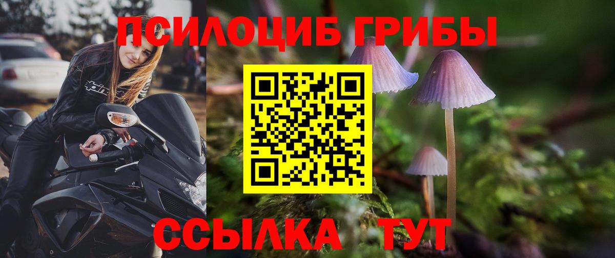 Галлюциногенные грибы мицелий Острогожск